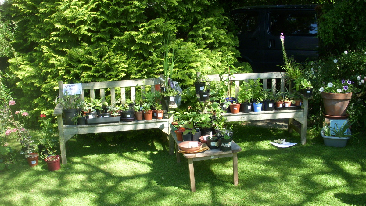 plant sales